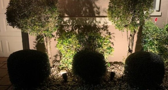 Landscape lighting along a South Florida yard at night
